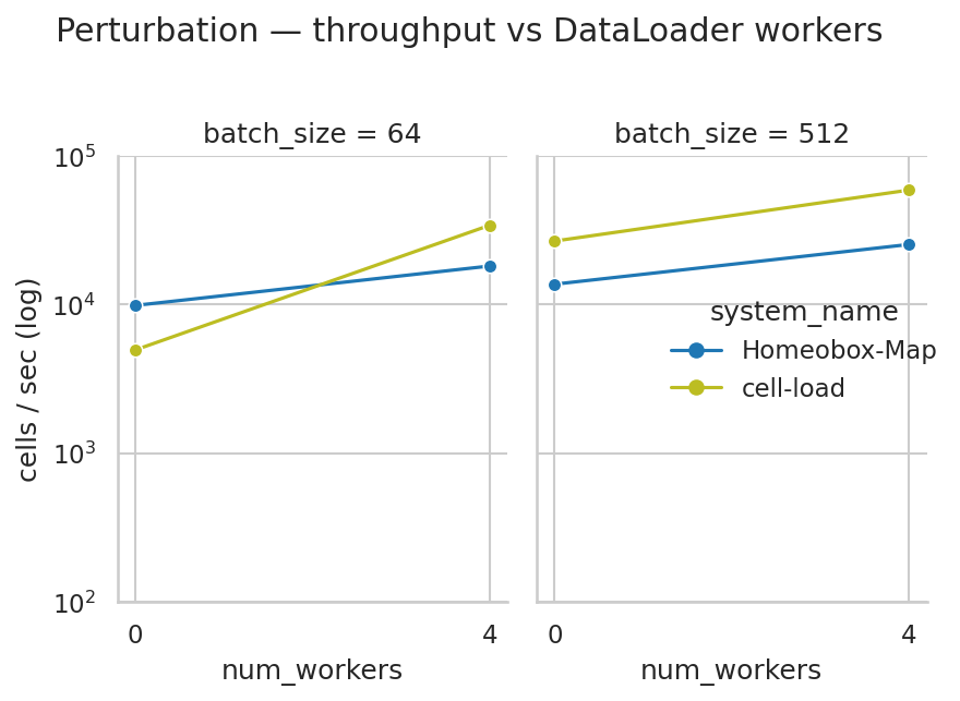 Perturbation throughput vs num_workers